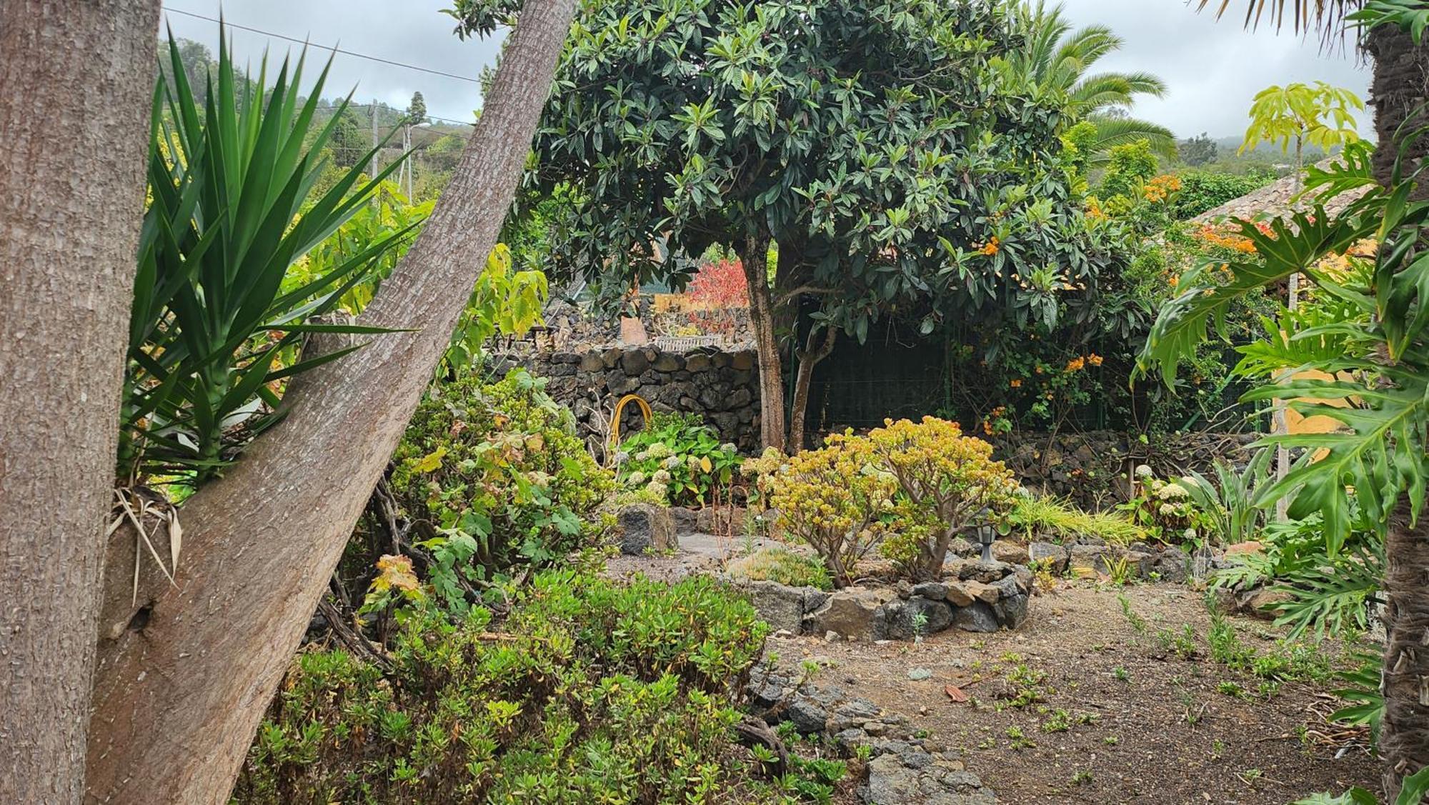 Oasis Hill Botanical Garden Villa Icod De Los Vinos Exterior photo